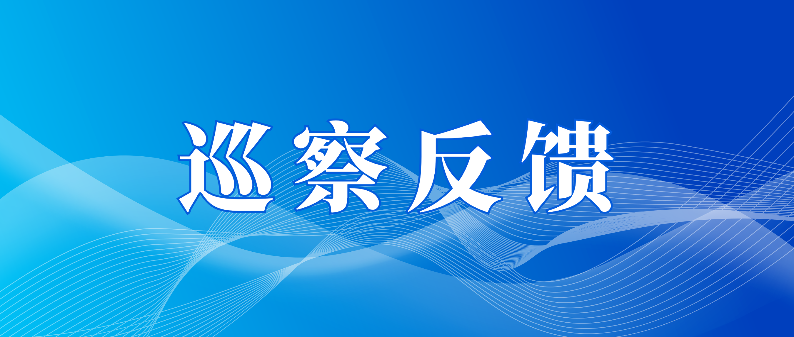 市国资委党委第三巡察组向尊龙凯时资本党总支反馈巡察情况